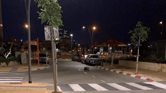 דורבן בנחלת יהודה