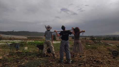 הצעירות בחווה. עובדות בחקלאות