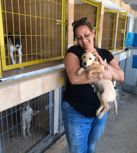 מנכ"לית עמותת 'צער בעלי חיים' בבאר-שבע, רוחה בן דהן