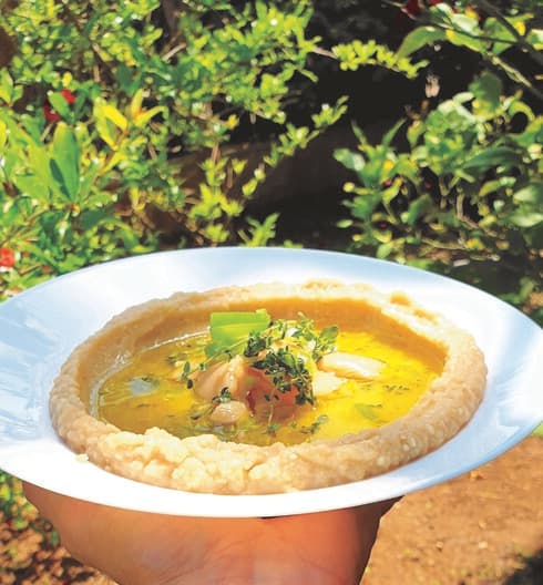 קרם שעועית (בובס)