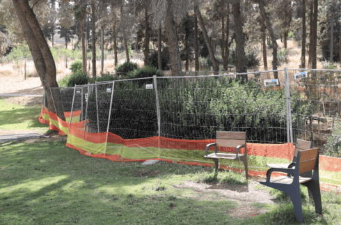 האזור שגודר בגן סאקר