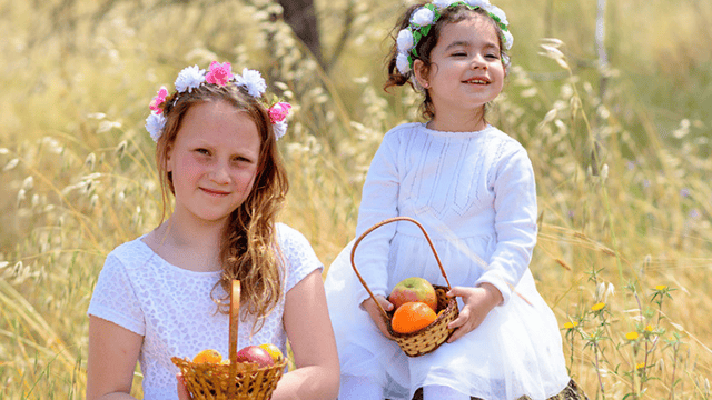 חגיגת שבועות בירושלים חגיגת שבועות בירושלים