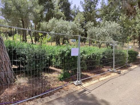 האזור שגודר לאחר הריסוס (צילום: אופיר לנג) האזור שגודר לאחר הריסוס