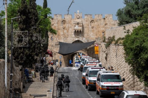 שער האריות