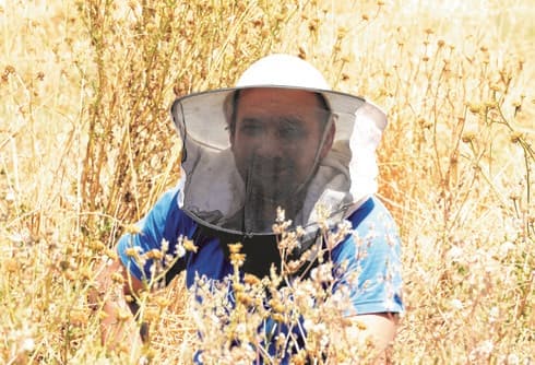 אלכס שולבאייר. 40 עקיצות זה בקטנה