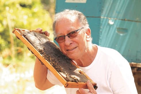 רוני לובינגר. "לדבורים אין עניין לפגוע או לעקוץ”