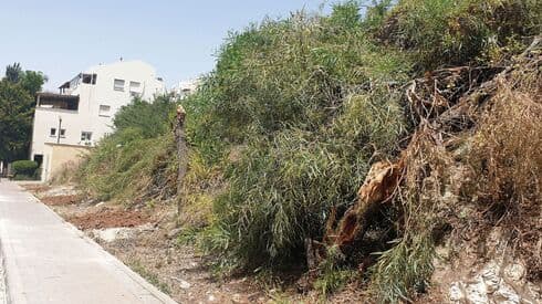 "תנועה ערה". הגבעה בשכונת הנחלים
