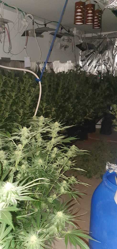 מעבדה בקרית אתא
