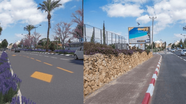 פרויקט מהיר לעיר בהוד השרון פרויקט מהיר לעיר בהוד השרון