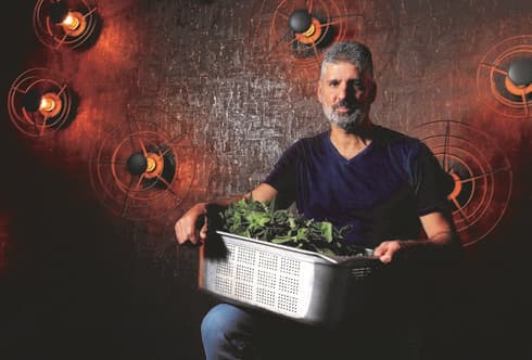 שחר ברנע