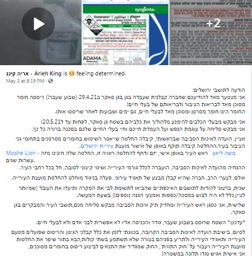 הפוסט שפרסם אריה קינג