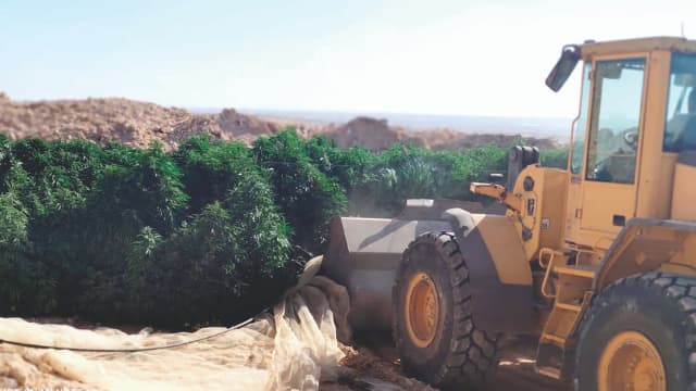 אחד השטחים שהושמדו