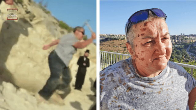 הארכיאולוגית והצואה שהושלכה עליה