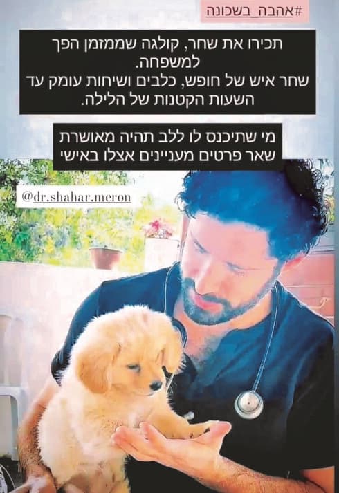 אהבה בשכונה