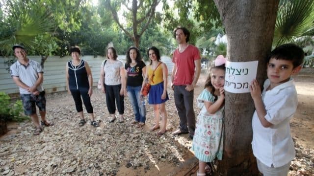 הפעילים בחורשה, השבוע הפעילים בחורשה, השבוע