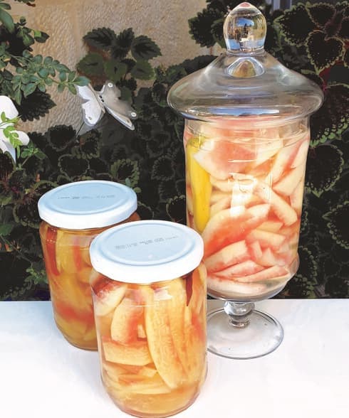 שבועיים אחרי ההכנה הרצועות מקבלות שקיפות