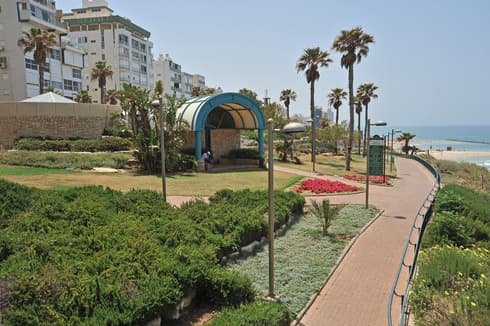 הגלריה על הצוק