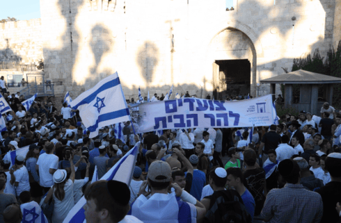 צעדת דגלים