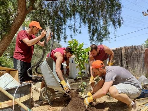 שותלים במרץ. התחדשות עירונית גם בשכונות הוותיקות