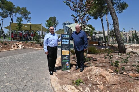הולכים בריא
