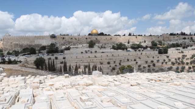 פוטנציאל מסחרי? הר הזיתים 