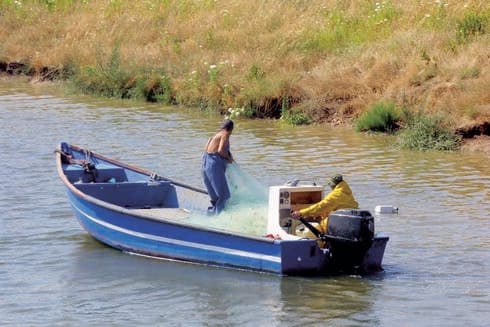 סירת דיג בקישון (למצולם אין קשר לידיעה) סירת דיג בקישון (למצולם אין קשר לידיעה)