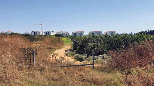 שטח השכונה החדשה במערב העיר
