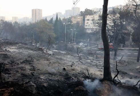 אסון הכרמל. "זיהינו קרוב ל־ 50 אחוז מהגופות על פי השיניים" 