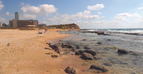 חוף הדייגים. לשמור על הניקיון
