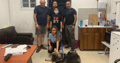 המשפחה, השוטרים והכלבה