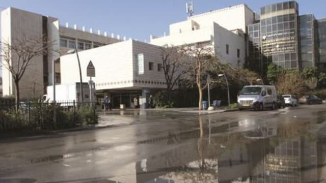 לניאדו
