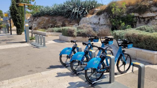 האופניים להשכרה בעיר