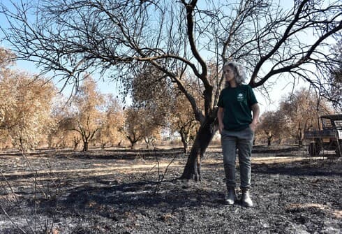 שבועיים אחרי שמטע הזיתים המשפחתי עלה באש, אילה נוי ממושב ציפורי מספרת על המשך המאבק למען חקלאות ישראלית (צילום: שרון צור) שבועיים אחרי שמטע הזיתים המשפחתי עלה באש, אילה נוי ממושב ציפורי מספרת על המשך המאבק למען חקלאות ישראלית