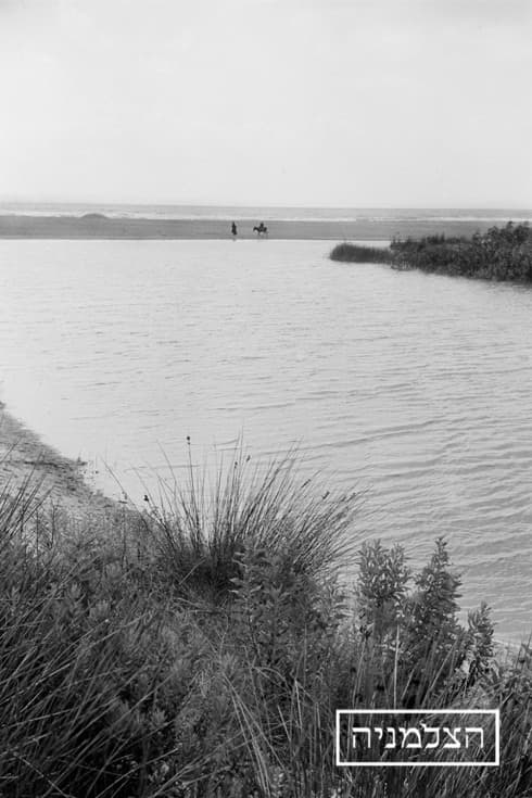 אזור נחל חדרה. שנת צילום: 1939