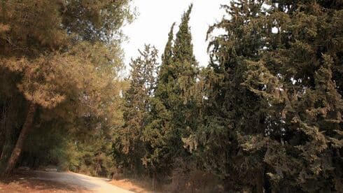"עד שבאים לעשות פה משהו טוב יש התנגדות"