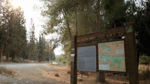 יער ראש העין. "אחד מאתרי הטבע היפים של העיר"