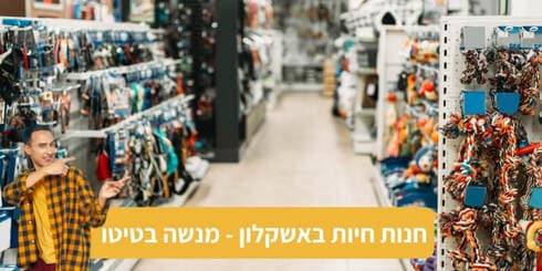 מנשה בטיטו