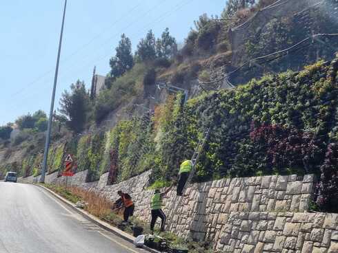 הקיר הירוק של ירושלים (צילום: עיריית ירושלים) הקיר הירוק של ירושלים
