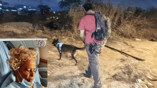 החיפושים (תמונה מרכזית) ושפרה קרייתי (תמונה קטנה משמאל) (צילומים: חיפושים - דוברות יכ"ל; שפרה קרייתי - דוברות המשטרה) החיפושים (תמונה מרכזית) ושפרה קרייתי (תמונה קטנה משמאל)