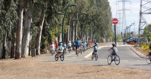 ילדים רוכבים על אופניים