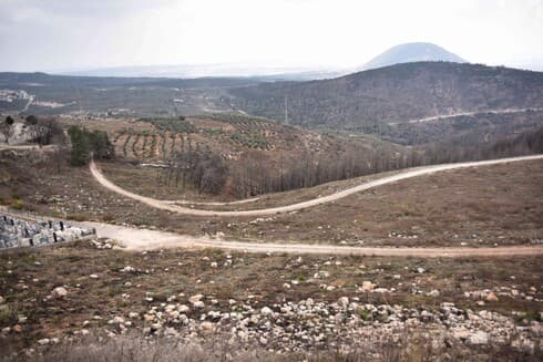 שנה לשריפה הגדולה ביער צ'רצ'יל. השיקום המלא של היער יימשך עשרות שנים