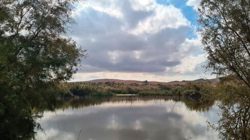 אגם ירוחם