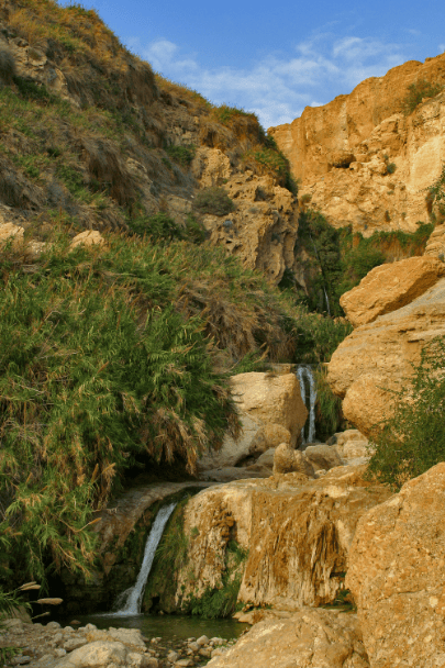 נחל ערוגות- שמורת טבע עין גדי (צילום: רון ניסים רשות הטבע והגנים) נחל ערוגות- שמורת טבע עין גדי