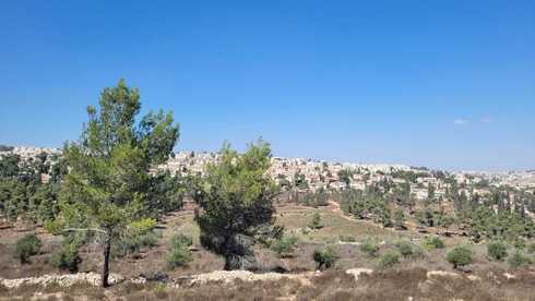 מצפה נפתוח (צילום: אדווה חולי) מצפה נפתוח
