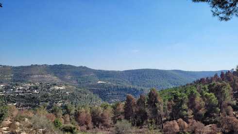 הנוף מהסטף, אבן ספיר (צילום: אדווה חולי) הנוף מהסטף, אבן ספיר