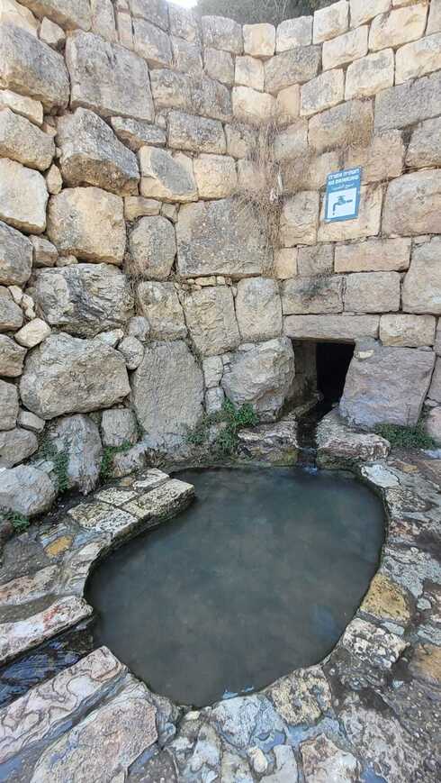 עין סטף (צילום: אדווה חולי) עין סטף