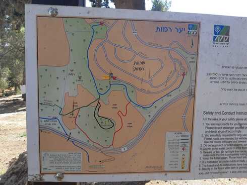 יער רמות (צילום: אדווה חולי) יער רמות