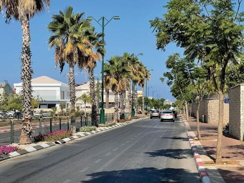 רחוב החלוצים (צילום: קובי קואנקס) רחוב החלוצים
