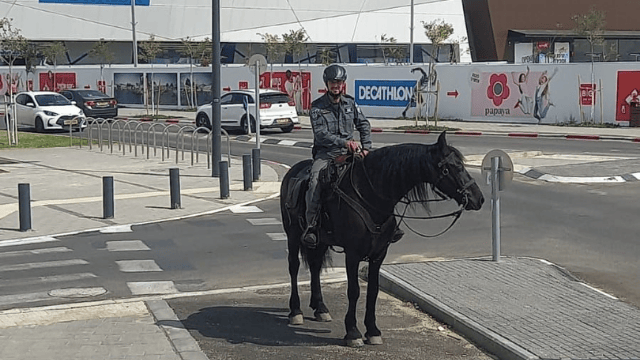 פרשי המשטרה במרכז ביג 