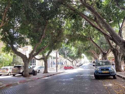 רחוב יעקב